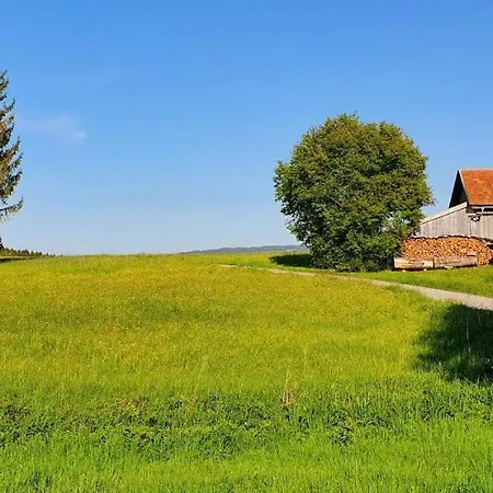Feriendorf Hochbergle Haus 140 Tatil Evi